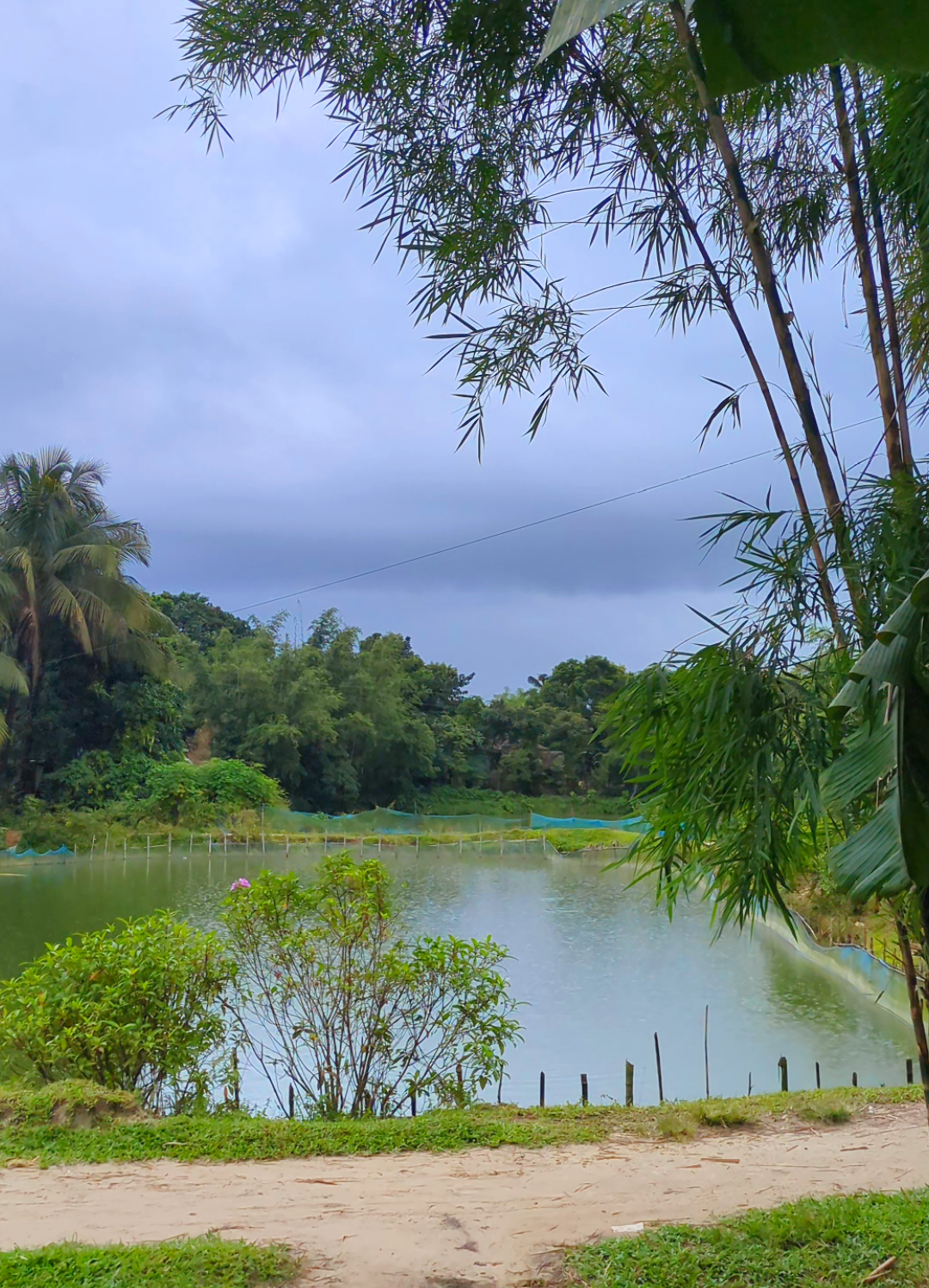 প্রাকৃতিক সৌন্দর্য মন ছুঁয়ে যায়।🌿🌿🥰 #Foryou #Foryoupage #netural #tiktok #viralvideo 