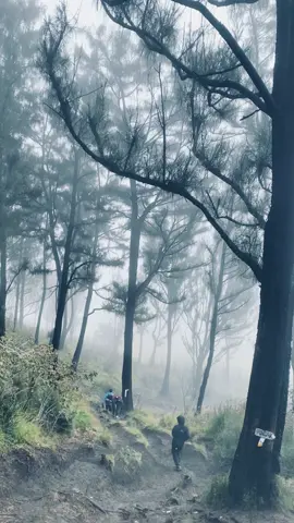 #pendakigunung #gununglawu #fomo 