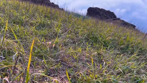 Hãy khoe những bức ảnh bầu trời đẹp nhất của bạn vào đây...#xuhuong #xuhuongtiktok #canhdep @thanhvodao.