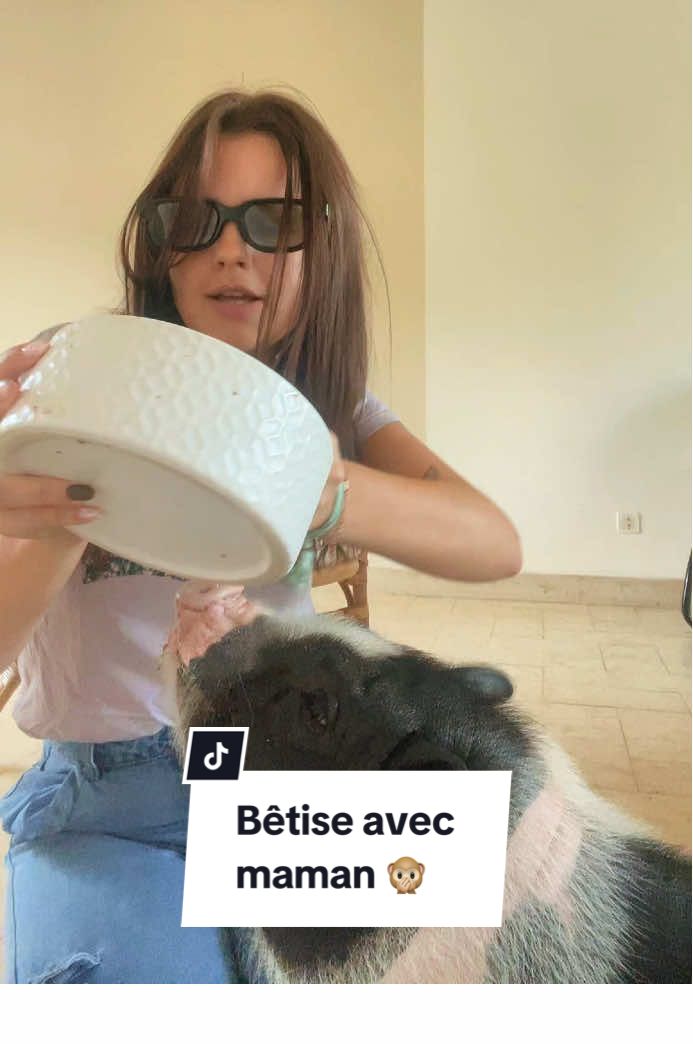 Ce matin, on a fait quelques petites bêtises avec Balou 🐷🙈 Heureusement que papa n’était pas là pour voir ça 🫣  - - - - - #tendance #pourtoi #cochon #pig #animaux 