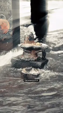 Om Namasivaya 🙏