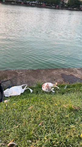 Inpo#jakartautara #danausunter #sunter #masukberanda #jakut 