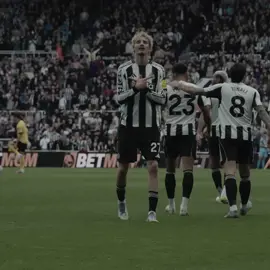 Nick Woltemade. #nickwoltemade #woltemade #27 #newcastleunited #fyp 