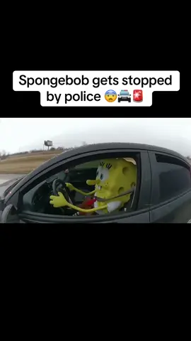 spongebob just flees 😳 #policechase #copsusa #bodycam #police #spongebob 