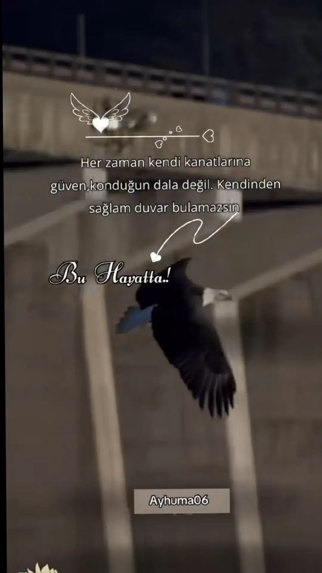 #keşfet #keşfetbeniöneçıkar #keşfetteyizzz 