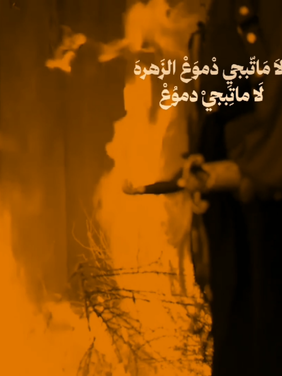 لا ماتبجي دموع الزهره❤‍🩹🎧 . . . . . . . . . . . . . . .#باسم_الكربلائي  #تصميم_فيديوهات🎶🎤🎬 
