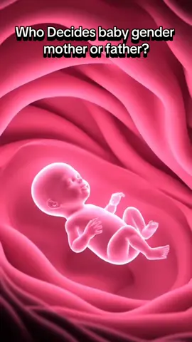 Who decides the baby gender mother or father? #babygenderreveal #babygender #creatorsearchinsights #viralvideo #viraltiktok 