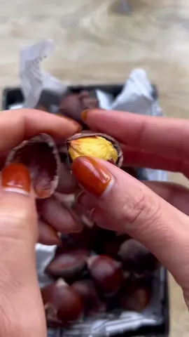 Châtaignes rôtis (marrons chauds) 🌰 #marronschauds #chataignes #tuto #automne