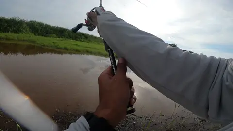 Ruan bantai silencer 18cm #FishingMadnessMY #fishingtiktoks #nzcaster #fyp #alhamdulillah 