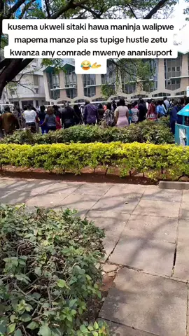 #uon # campus#KU#Jkuat 