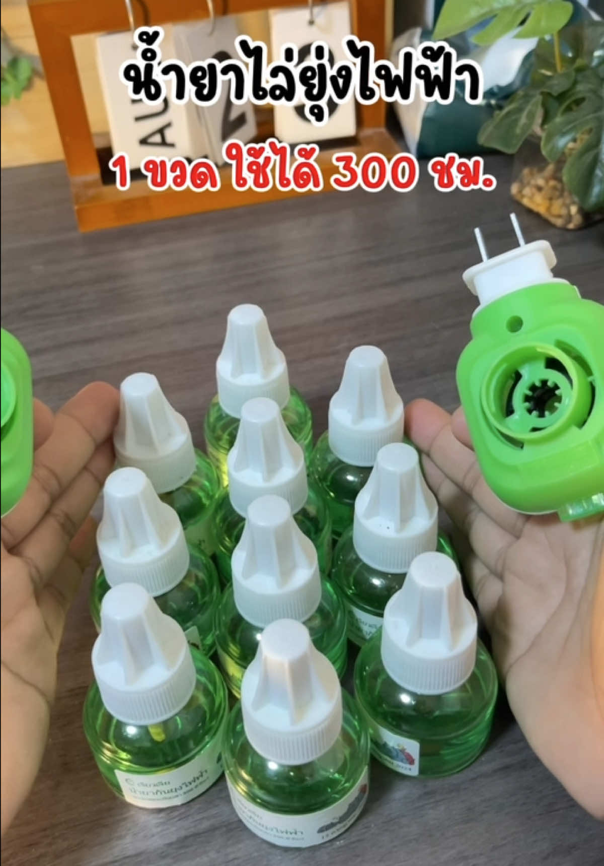 ช่วงหน้าฝนยุงเยอะ แม่ๆป้องกันด้วยนะคะ #น้ํายาไล่ยุง #น้ํายาไล่ยุงไฟฟ้า #เครื่องไล่ยุงไฟฟ้าน้ํายารีฟิล #น้ํายาไล่ยุงออแกนิค #ไข้เลือดออก  @At.Nuch  @At.Nuch  @At.Nuch 