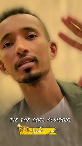 #الشاعر_محمد_ودامنه #شعراء_وذواقين_الشعر_الشعبي #سودانيز_تيك_توك_مشاهير_السودان🇸🇩 #تصميم_فيديوهات🎶🎤🎬 