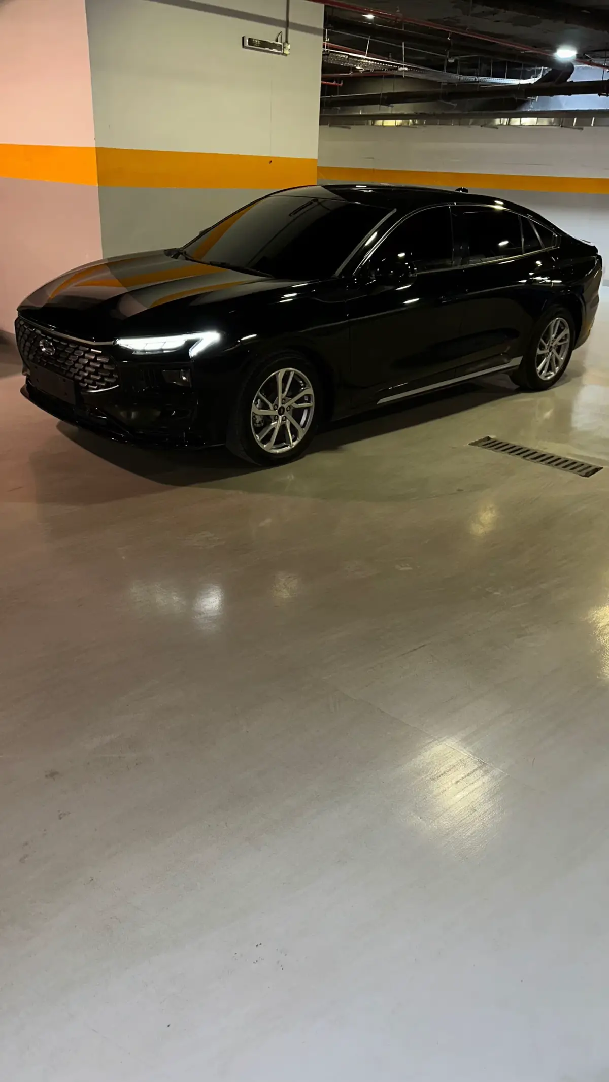 #fyp #تورس #explore #الياسمين 