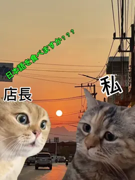 痛いよ！店長 #HọcTiếngNhật #japanese #fyp 