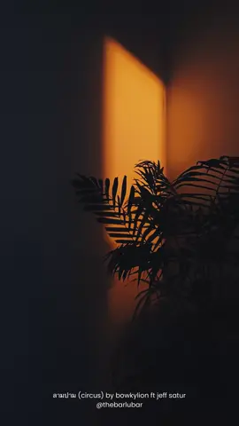 ลามปาม (circus) by @bowkylion ft @jeffsatur #ลามปาม #circus #bowkylion #jeffsatur #thailandsong 