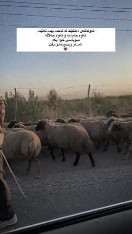 🤎#fyb #fup #fyp #for #ئەکتیڤبن🥀🖤ـہہـ٨ــہ 