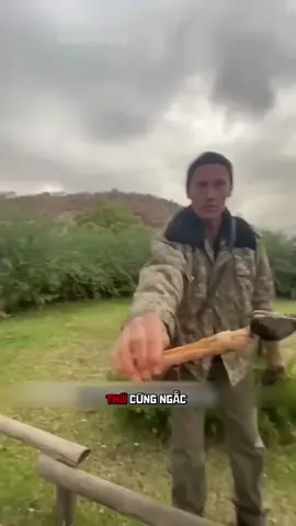 Loài Kền Kền này rất thích ăn xương.. #khampha #thuvi #dongvat #fyp 