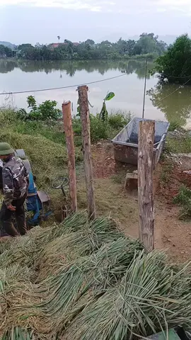 thất nghiệp về lm ruộng