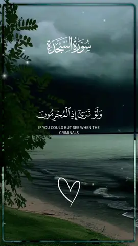 | سورة السجدة | القارئ الشيخ : عمر بن أحمد العنزي #القرآن_الكريم #القران_الكريم_راحه_نفسية😍🕋 #السعودية #الكويت #اكسبلور