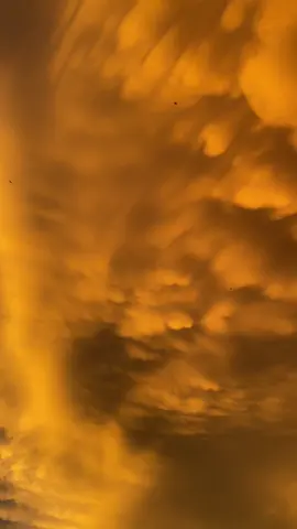 Golden skies painted with mammatus clouds #clouds #prettyclouds #mammatusclouds #prettysky #sunset 