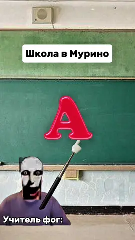 #меллстрой #друн #ч #фог #мурино 