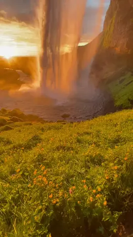 #beautiful #Beautiful 