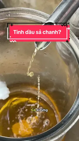 Mọi người đã từng nhầm lẫn 🤔 #tìnhđầutinhdầu #nguoitrelamvuon #tinhdau #sachanh #fypシ゚ 