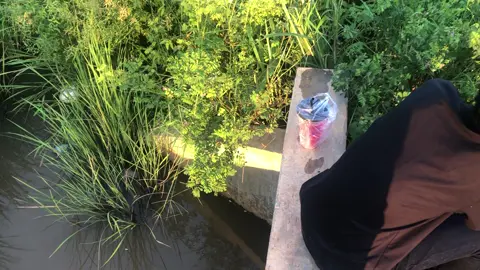 #ទេសភាពស្រុកស្រែ🌄🏜️🌱🌼🌾🐟 #ត្បូងឃ្មុំផ្ទះខ្ញុំ🏠💗😊 #24hrmehaktaclean #