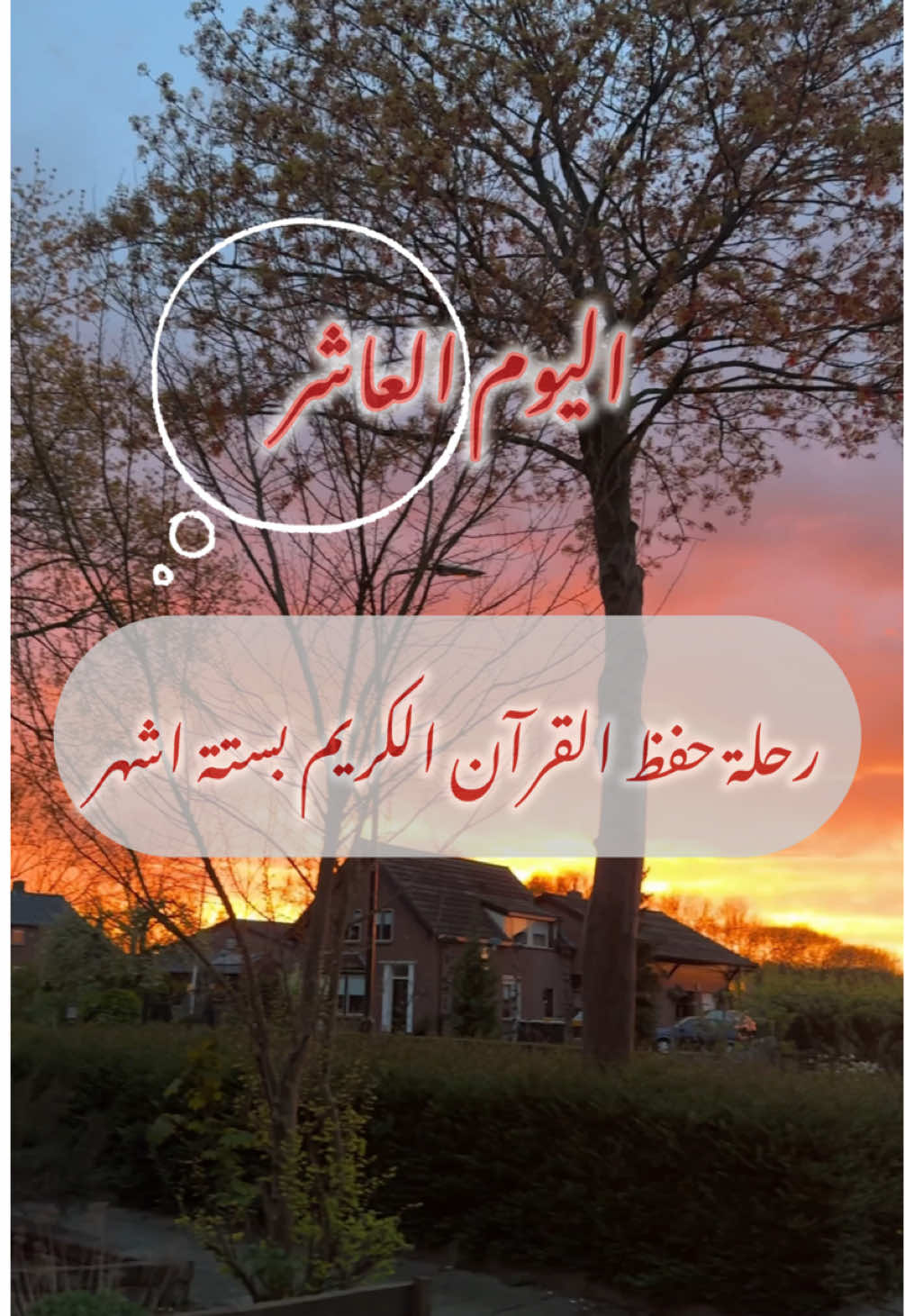 طبيعي نطلع أحياناً عن خطتنا بس المهم مانستسلم ونرجع نكمل 🌸 #قرآن #تلاوة #islam #مسلمون #حفظ_القرآن
