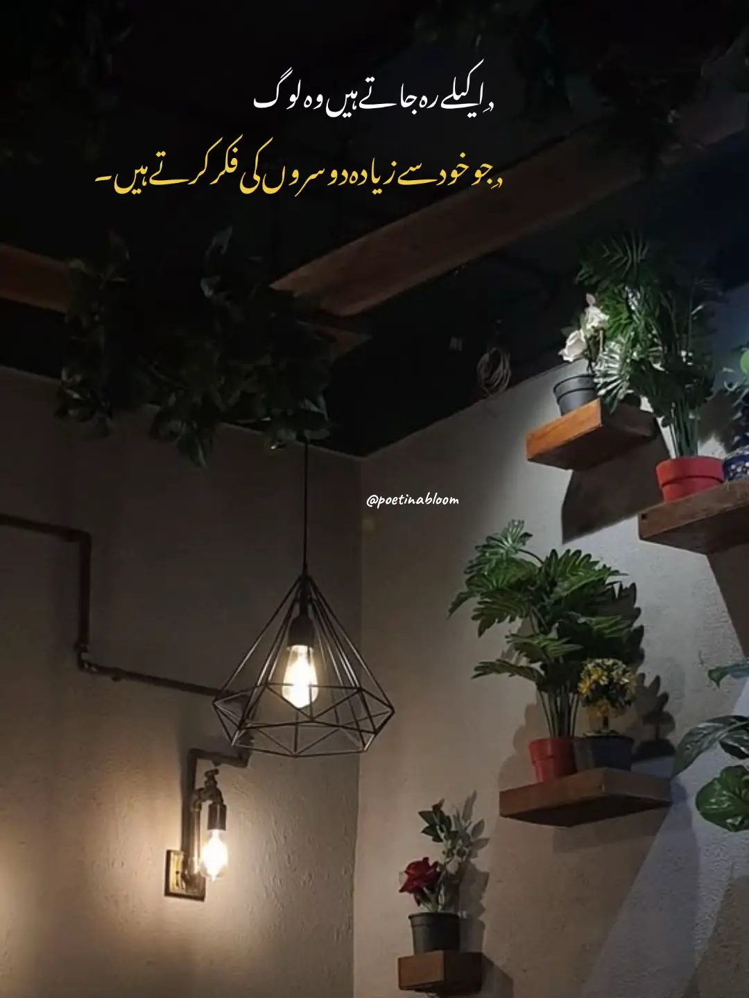ایک سکون کو پانے کی ضد میں  کتنی بےچینیاں پال لی ہم نے!🥀🖤🌒 #foryou #fyp #fyppppppppppppppppppppppp 
