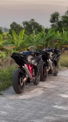 mending zx apa cbr?mending gakenal dari awal😌