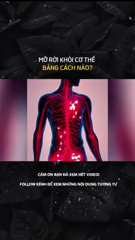 MỞ RỜI KHỎI CƠ THỂ BẰNG CÁCH NÀO?#Laernontiktok #kienthuc #khoahoc #cuocsong 