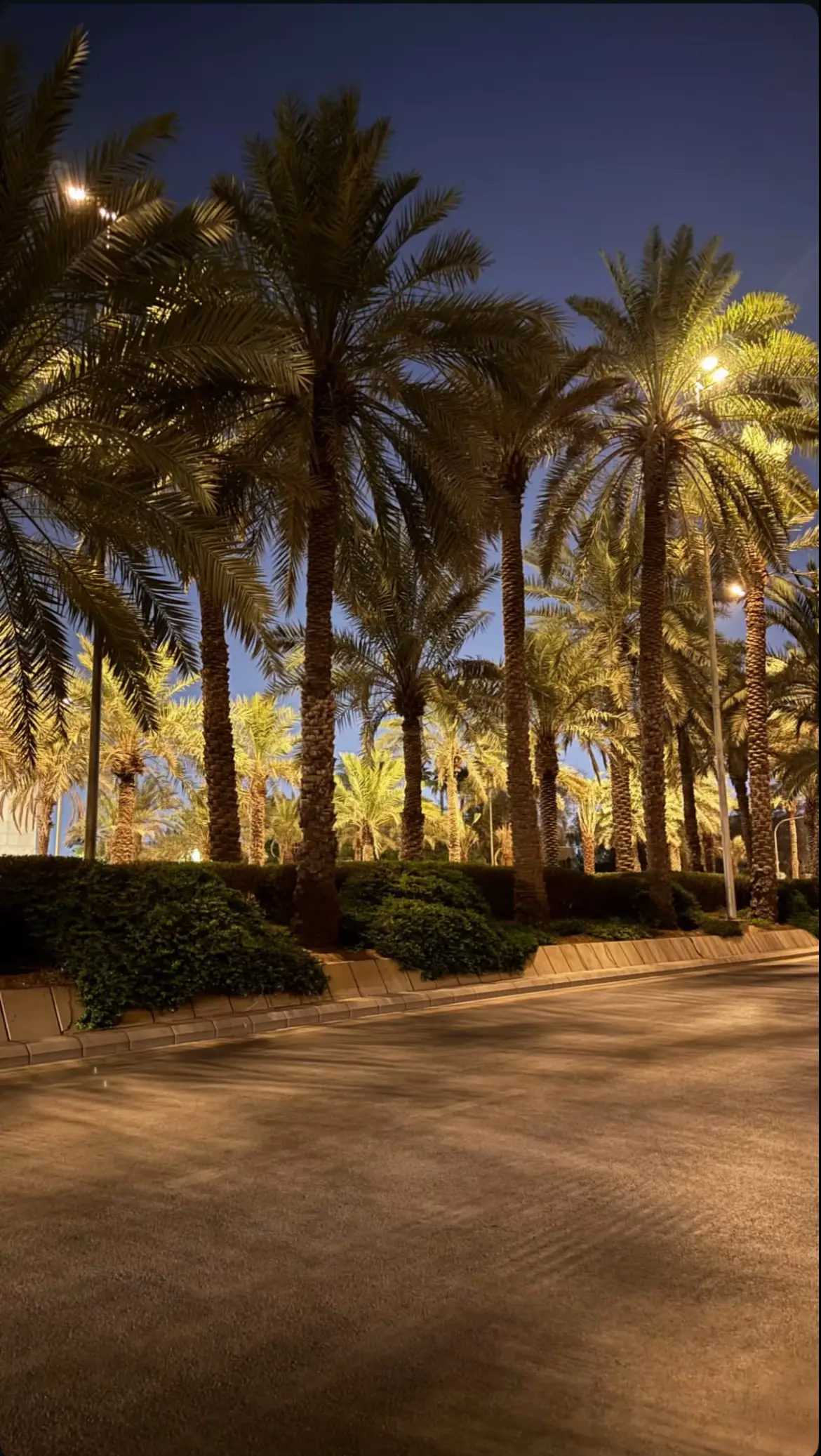 يامنوة الروح يوم إن الحشا ضمّش . . تلّي حشا القلب تل ورزي القامه . . يافتنة الغيد يوم إن الغلا زمّش . . سمّي على القلب من خلفه وقدامه . . ويا تلعة الجيد لامن قلتي بفمّش . . ودعتك الله حبٍ(ن) يذبح هيامه . . ماني بقايل سقى الله روحتي يمّش . . لكن سقى الله عصر الحب وأيامه . .#f #you #fupシ ##قصايد 