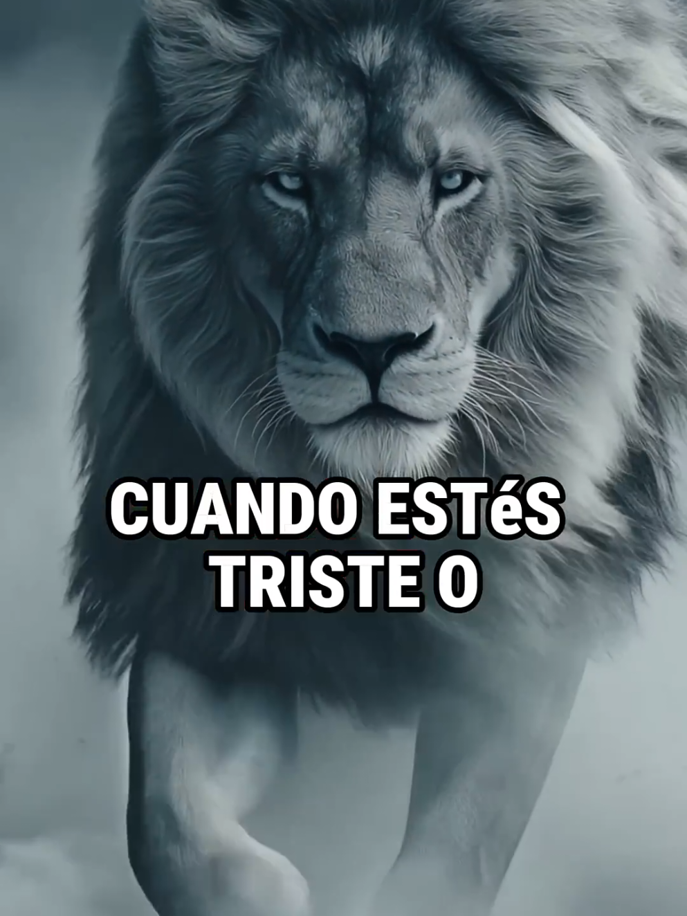 Cuando estés triste o te te sientas sol@ recuerda esto. #creatorsearchinsights 