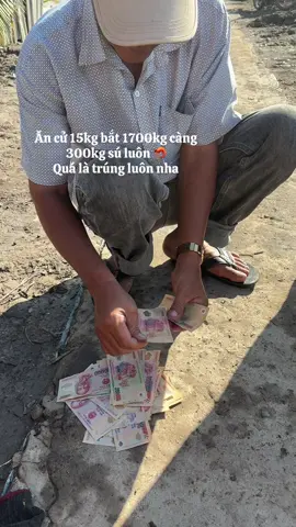 Tiền tươi luôn nha😆😆 chú đếm 98tờ tới mình tới 101 lận chú  hẹ hẹ😆😆#94baclieu #tomcangxanh #võcàngtrúcmai #xuhuongtiktok #quoctrangbaclieu @Vựa Tôm Càng Trúc Mai @Bé Mập @Huỳnh Vịnh291 @Nguyễn vỹ @Tâm miền tây 94 @hoàng hôn🫶 @@ Minh Thoại @Mai Văn tý 94F 