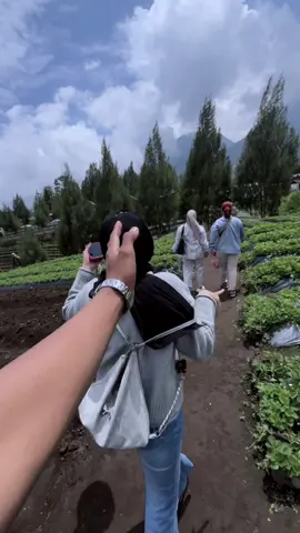 Ekspresiku ketika petik strawberry date terlaksana🤪💃🏻#fypシ゚ #viraltiktok #kerinci #masukberanda @A.Gamm 