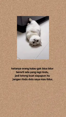 #fyp #storylucu_04 #bismillahfyp #semogafyp #masukberanda #beranda #berandafyp #fypdong #katakata #quotes 
