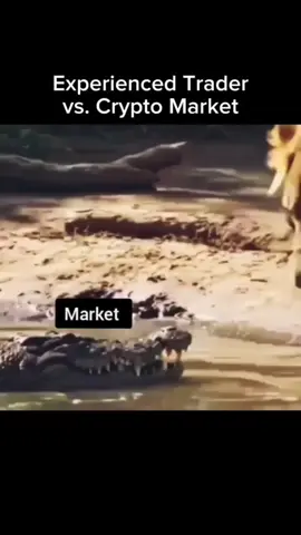 Pro Trader Energy vs.  Mr. Market | HTX When you’ve survived enough bull & bear cycles, the market doesn’t bite anymore it runs.  The lion = experienced trader. The gator = that wild crypto market. Moral of the story? Trade like a lion, not fresh meat.  #crypto #trader 
