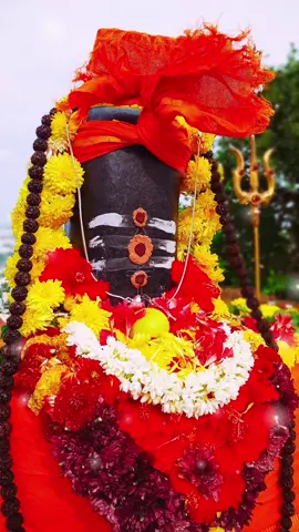 #omnamahshivaya #lordshiva #harharmahadev #mahadev #adiyogi 