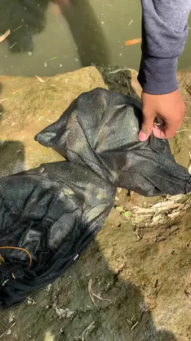 full dek nil #ponorogo24jam #mancing #fishing 