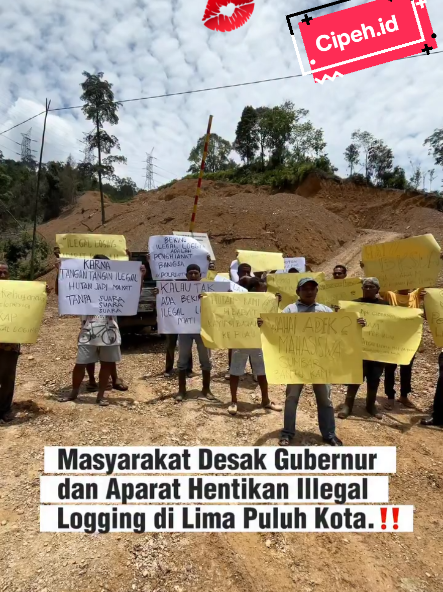 OMG, Hutan Lindung Dibabat. Kok Bisa.⁉️  Warga Nagari Tanjung Baliak, Kecamatan Pangkalan Koto Baru, Lima Puluh Kota menggelar aksi dipinggir Jalan Sumbar-Riau, tepatnya di lokasi dugaan aktivitas Illegal Logging di nagari tersebut, Kamis (2/10/2025) sore.  Dalam aksi tersebut, puluhan warga meminta kepada pemerintah Provinsi Sumbar, Kapolda Sumbar, Pemkab Lima Puluh Kota, Polres 50 Kota dan pihak terkait lainnya agar mengehentikan aktivitas penebangan pohon secara liar di nagari mereka. 