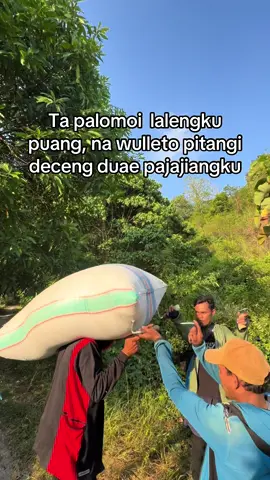 #fyp #petani #fyppppppppppppppppppppppp #xyzabc 