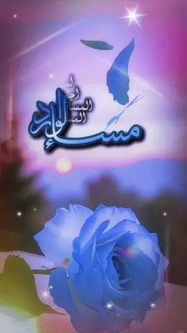#مسسسسسسسسسسسساء_الورداااات🌹✨🌹 
