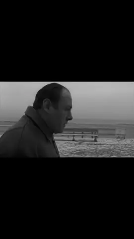 وين أنا #tonysoprano #soprano #thesopranos #sopranos #fyp 