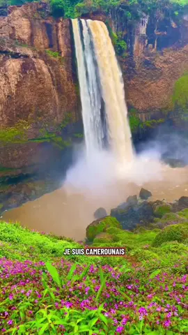 #cameroun #🇨🇲 #culture #afrique #africa 