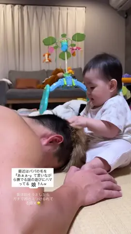 パパ＜娘　の関係www #赤ちゃんのいる生活 #10ヶ月ベビー #女の子ベビー #パパと娘 