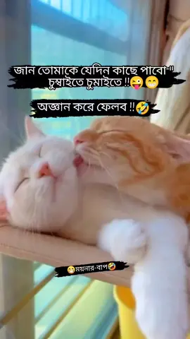 জান তোমাকে যেদিন কাছে পাবো চুমাইতে চিমাইতে অজ্ঞান করে ফেলবো!! @TikTok @Tiktok Bangladesh #fyp #ফানি_ভিডিও #foryou #viralvideo #viral 