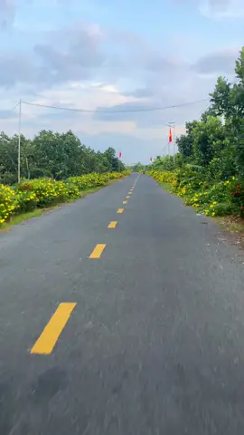Đường quê 😍#xuhuongtiktok #66đồngtháp❤️☘️ #cảnhđẹpthiênnhiên 