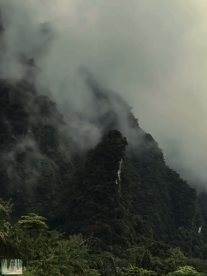 nature video sound Tamil  #naturevibes #tamilbgm #paiyabgm #naturelove #tamilwhatsappstatus 