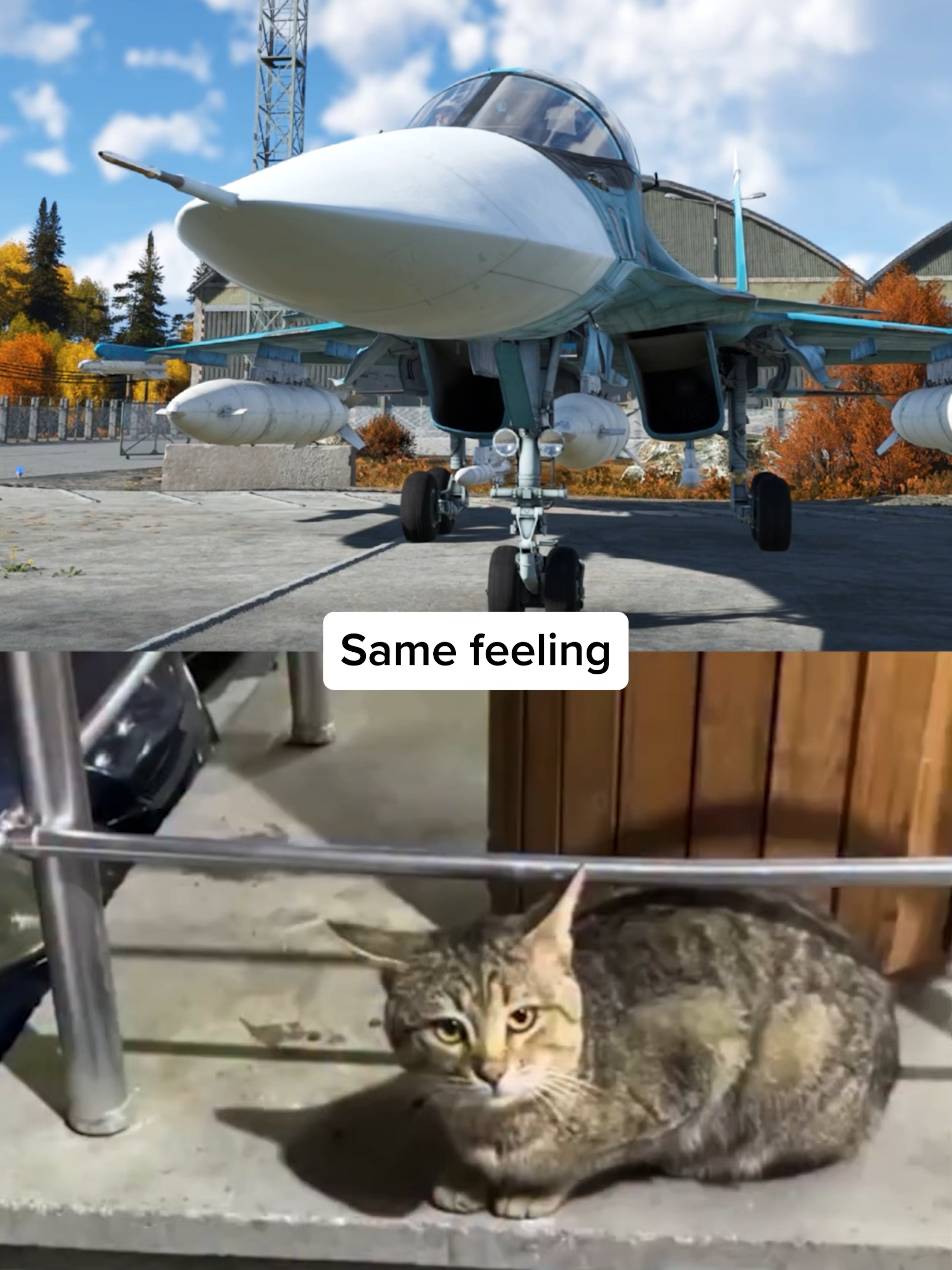 🦆🫴 #WarThunder #War #Thunder #funny #meme